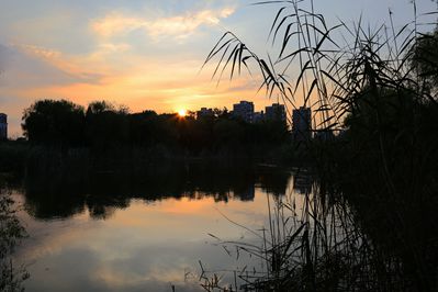 愛晚
