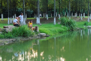 休閑龍湖