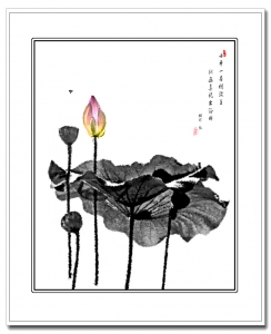 墨荷