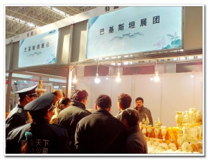第一屆淮南文化產(chǎn)業(yè)博覽會紀(jì)實<三.>