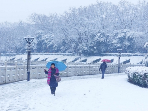 雪中景
