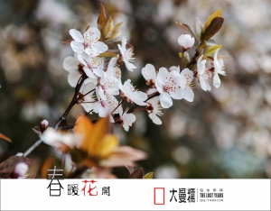 春暖花開