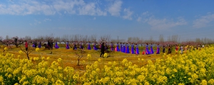 桃花源 旗袍秀